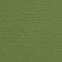 Solidor Premium Forest Green