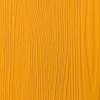 Solidor Amber Gold Swatch