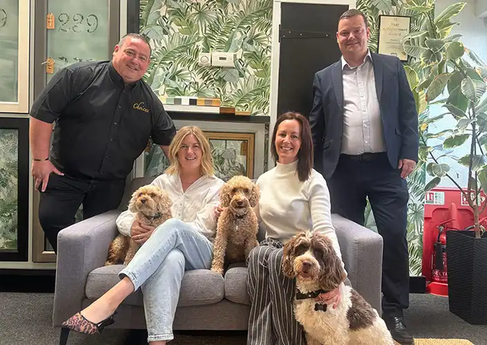 Hayley Windows Partnership Fi Home